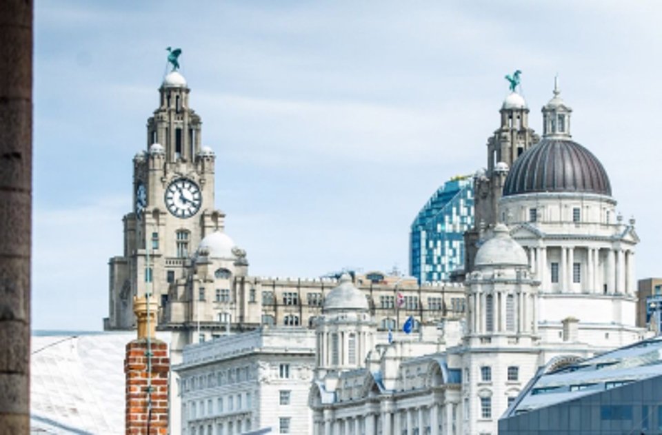 Picture of Liver building