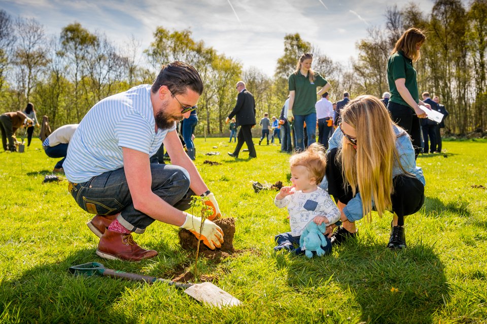 City of Trees tree planting