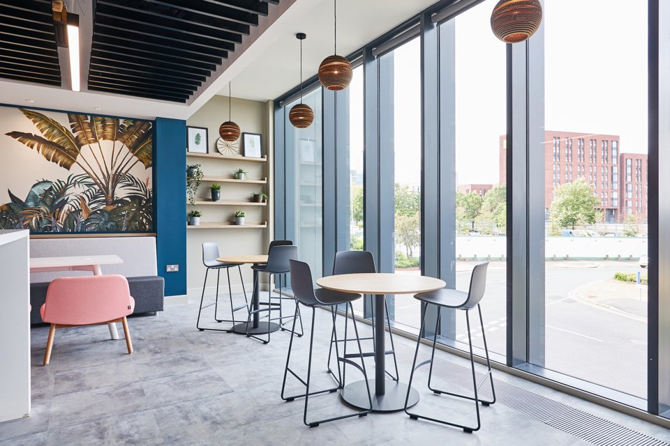 A contemporary office space with large ceiling-to-floor windows, potted plants on shelves, a painting of a plant and modern seating