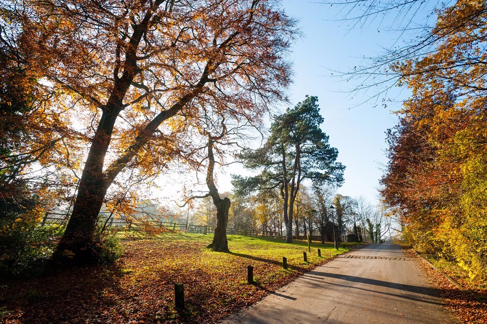 Cheshire countryside