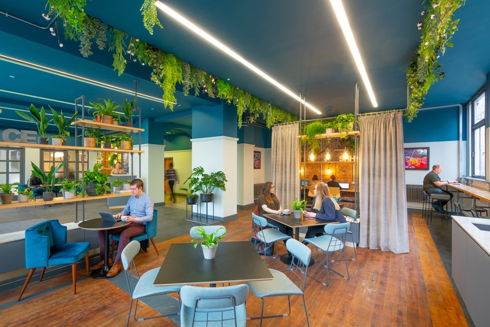 Large open social area inside the cotton exchange building white blue and white painted walls surrounded by greenary hanging fron the ceilling and people sat down socialising and drinking hot drinks